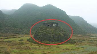 在线观看山,揭秘在线观看山景的奇幻之旅  第2张